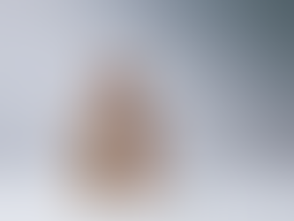 Föreningslivet möter staden på Nobel 21 den 9 december