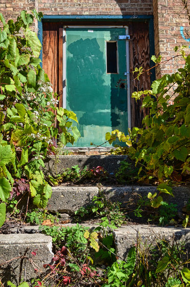 Overgrown concrete steps leading to a worn green door.