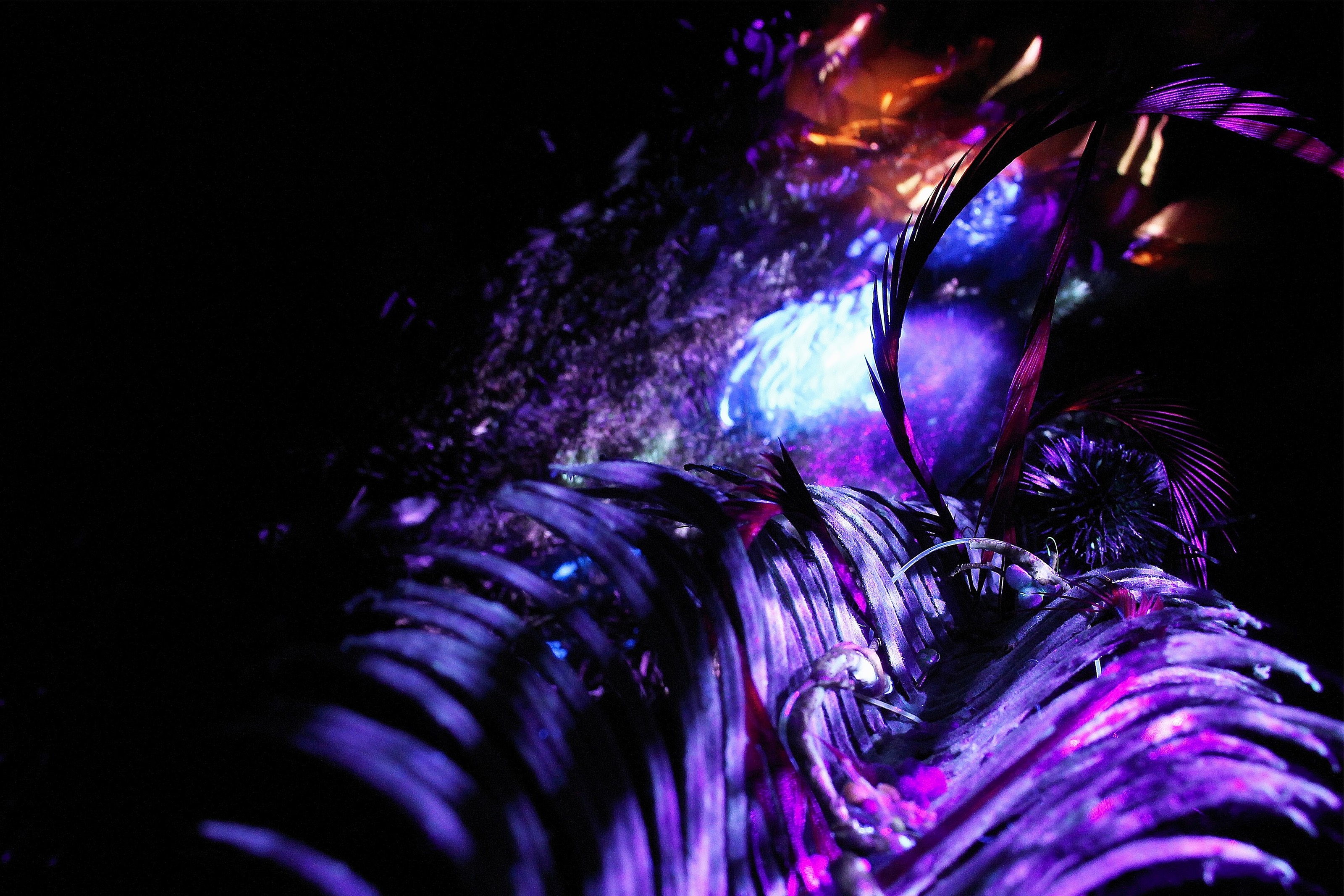 Curved ridges with violet highlights around a bright blue patch.