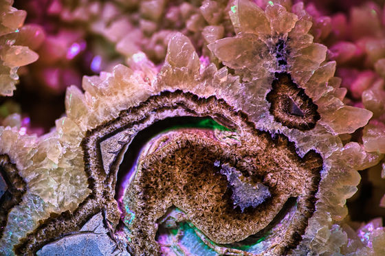 Curled mineral bands surrounded by pale angular crystals.