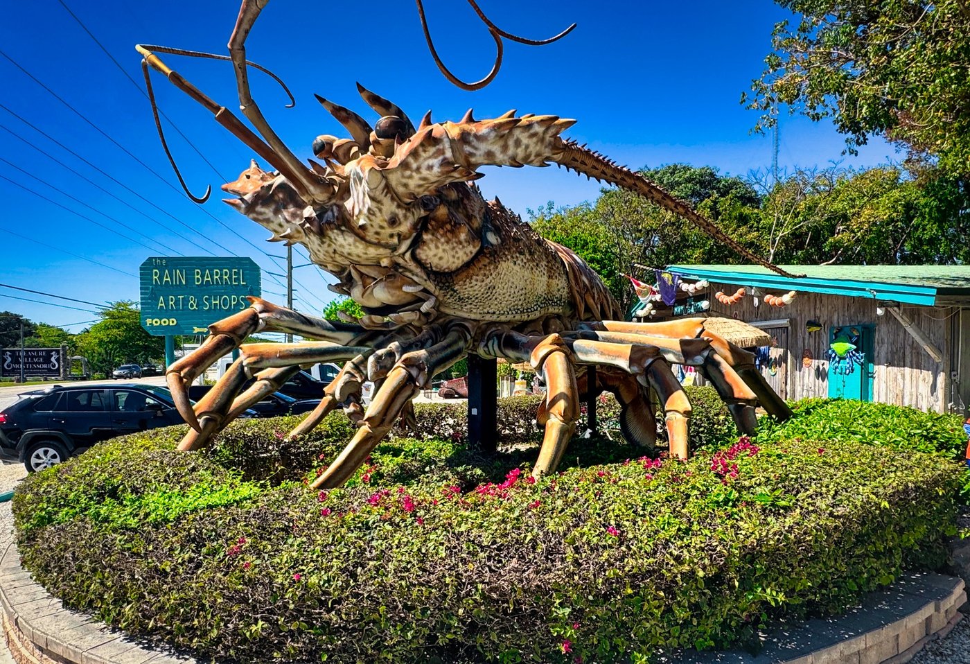 Icon of the Florida Keys: Big Betsy the Lobster Giant spiny lobster sculpture above a roadside hedge.