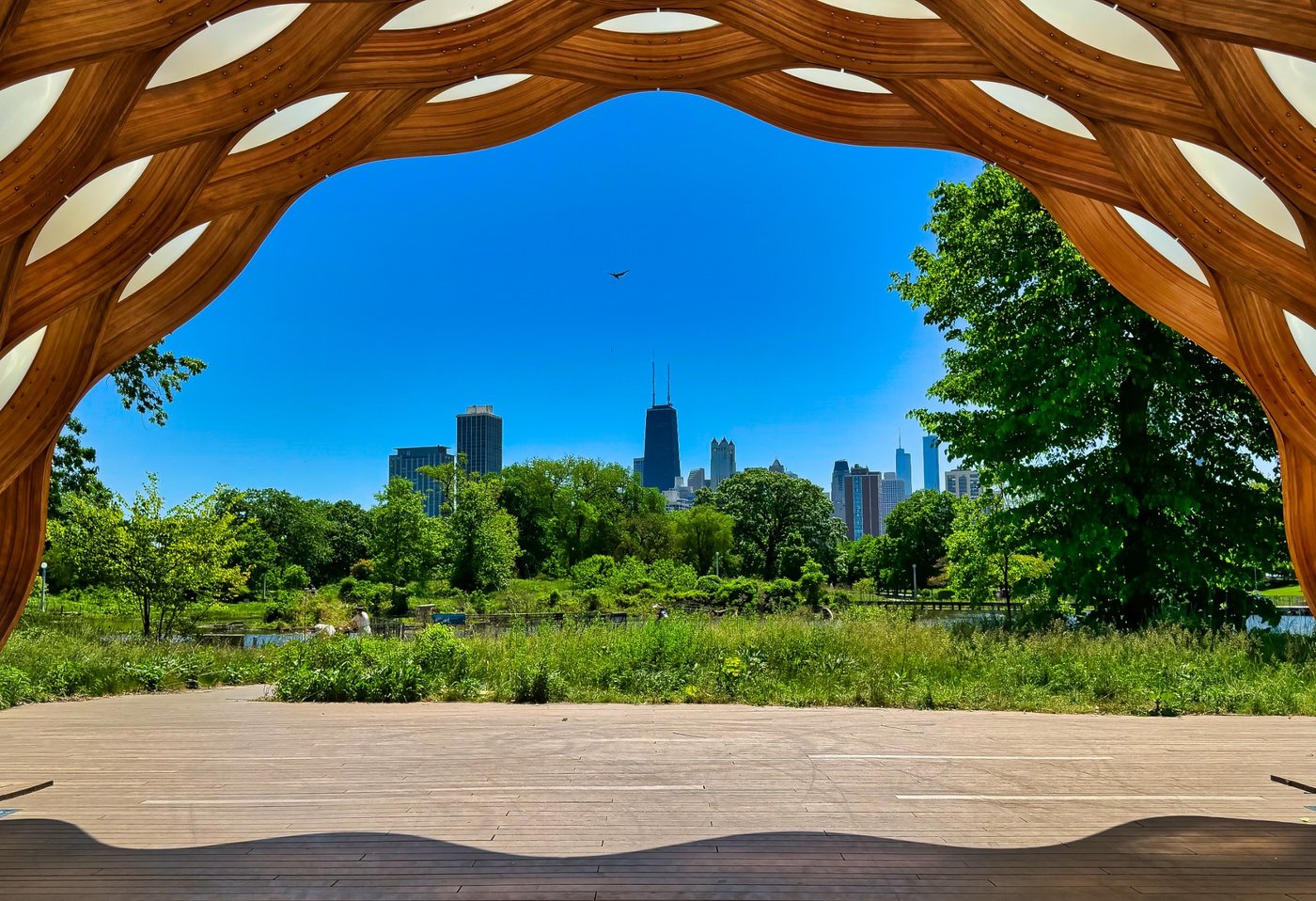 Honeycomb Horizon Curved wooden lattice framing a park and distant skyline.