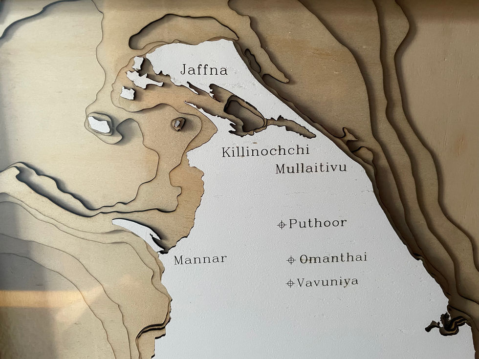 Close up of a 3D wooden topographic and bathymetric map of Sri Lanka