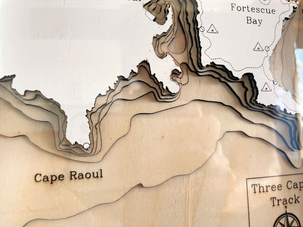 Close up of a 3D wooden topographic and bathymetric map of the Three Capes walk in Tasmania