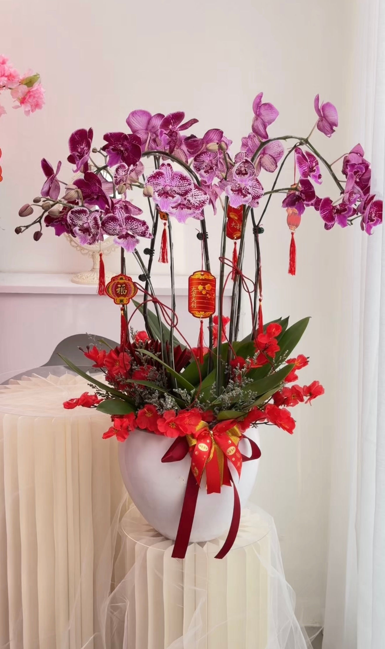Orchid Taiwan tipe B