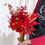 Thumbnail: Specta Red Cherry