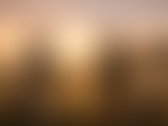 Two soldiers from opposing sides shake hands in an open field at dawn, their weapons set down beside them, choosing to meet as neighbors.