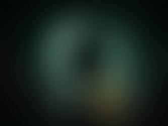 The Canary Protocol: A Threat Detection System