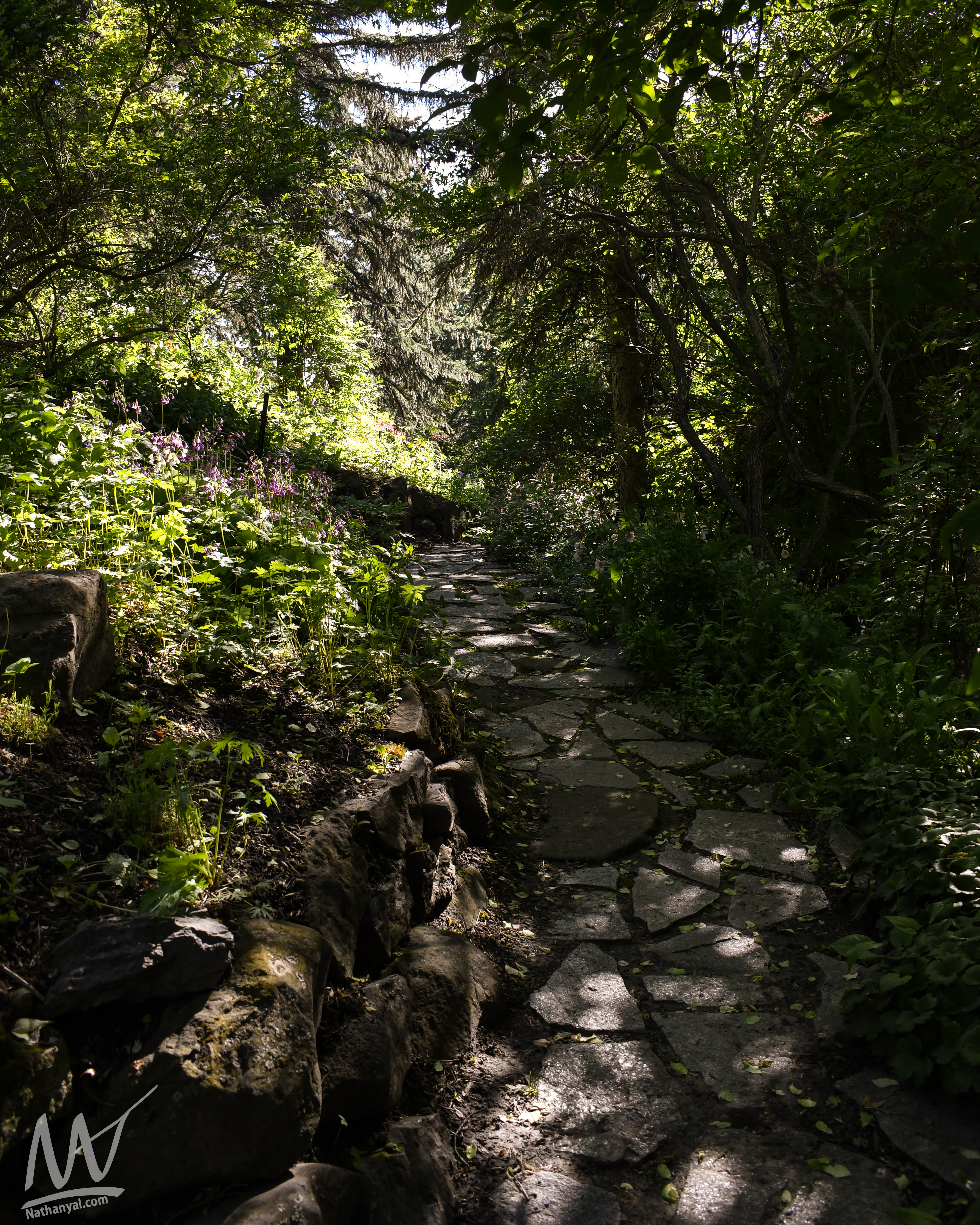 readerrockgarden (43 of 69).jpg