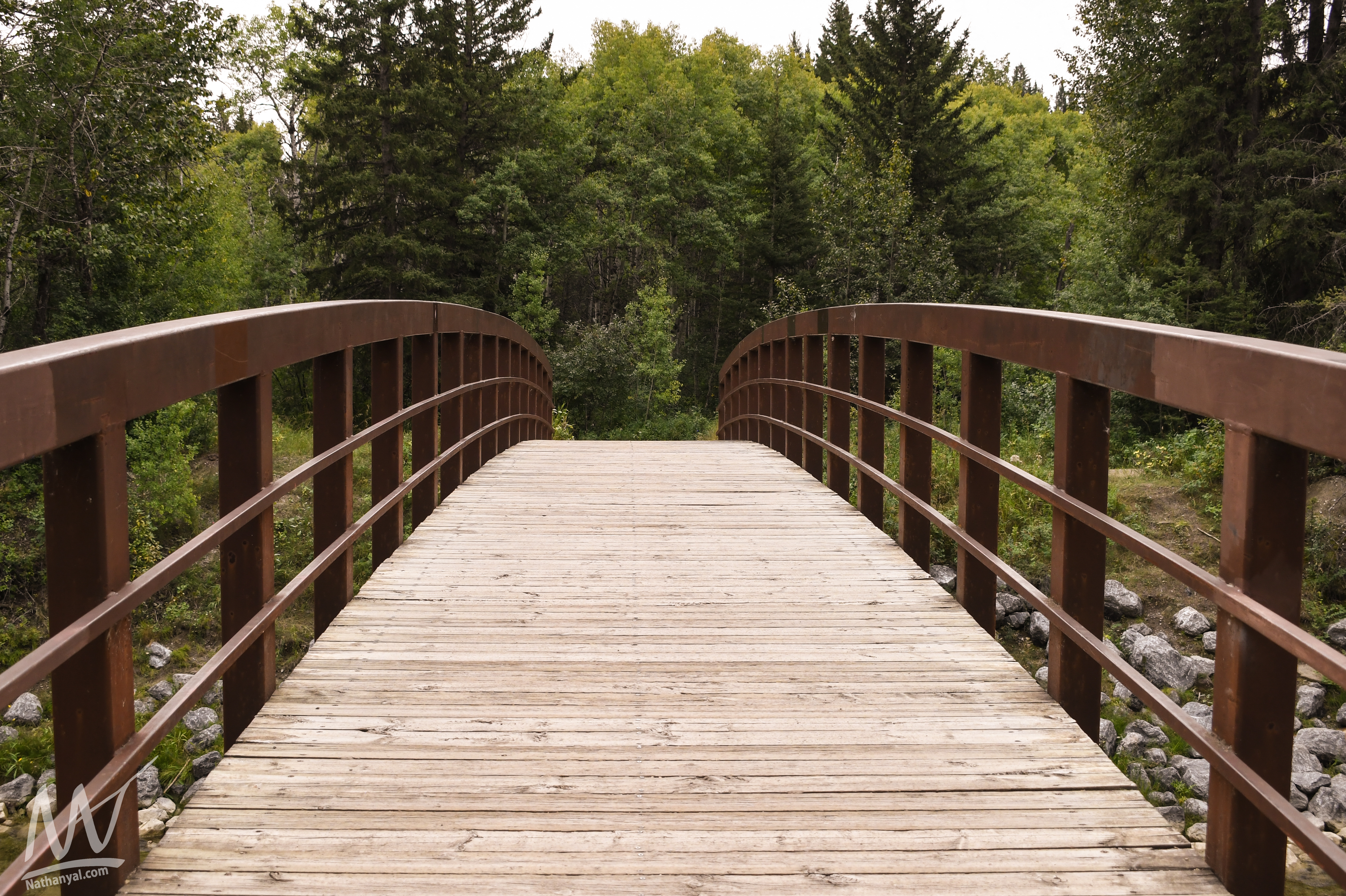 fishcreek (44 of 57).jpg