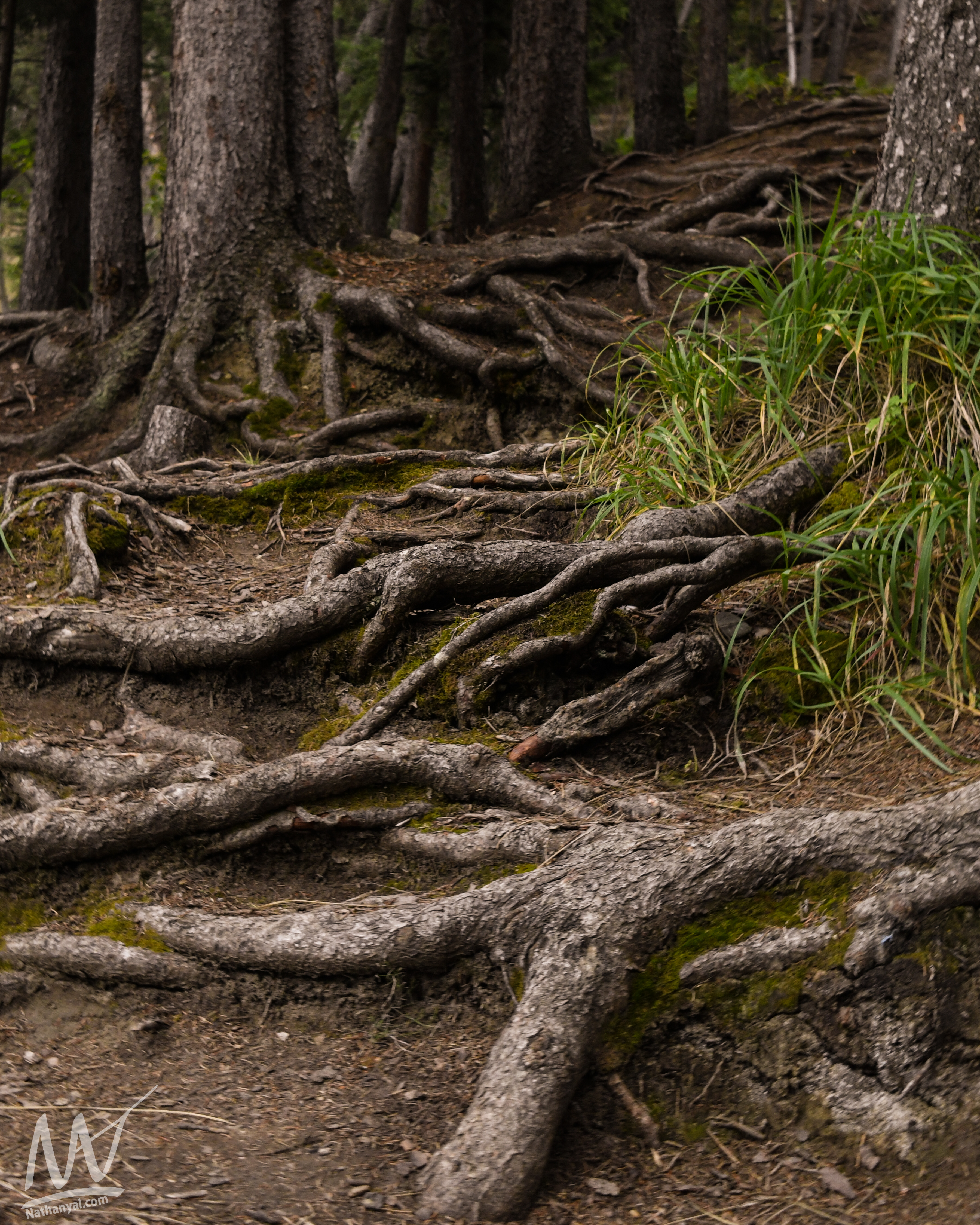 fishcreek (50 of 57).jpg