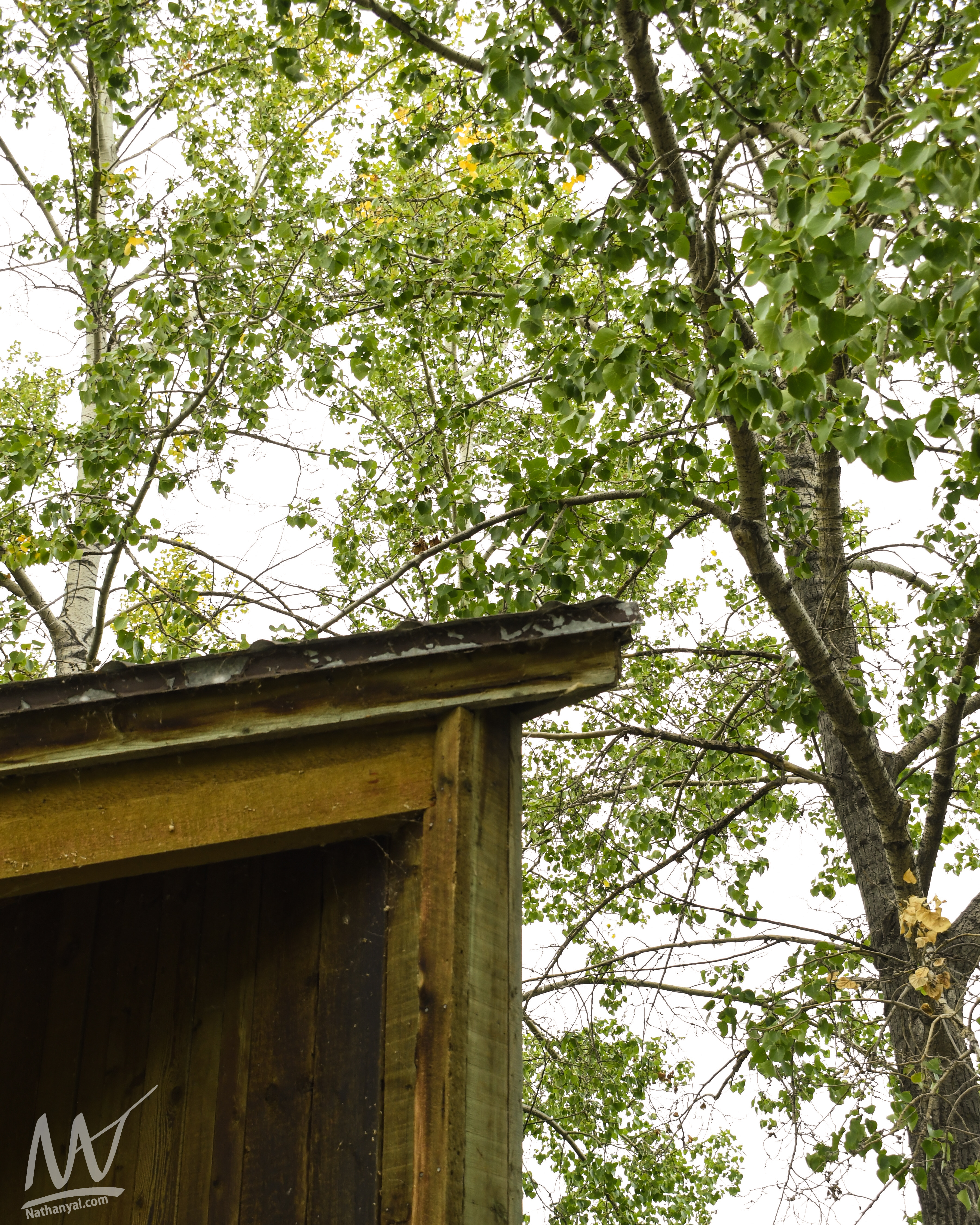 fishcreek (4 of 57).jpg