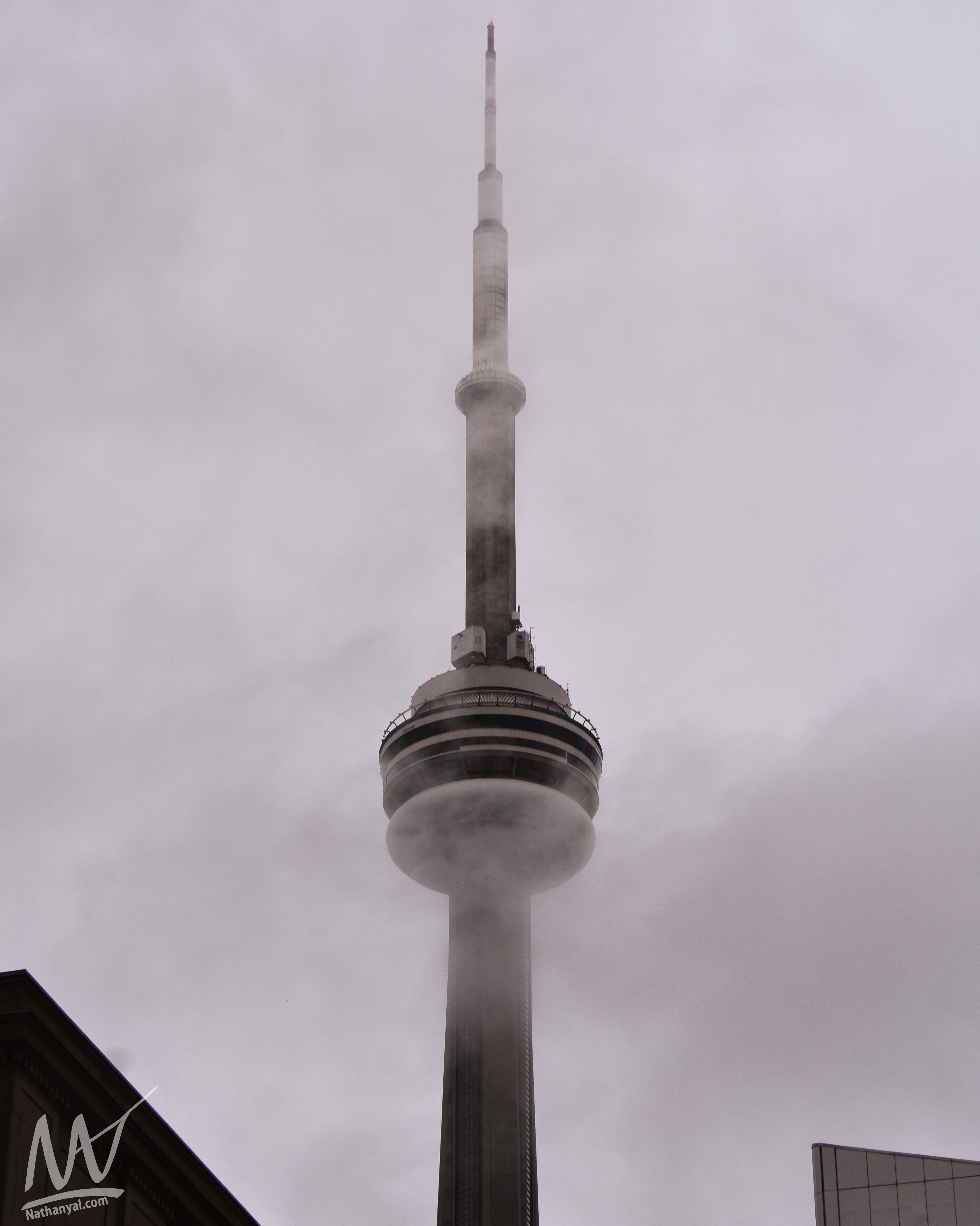 torontoredo (13 of 14).jpg