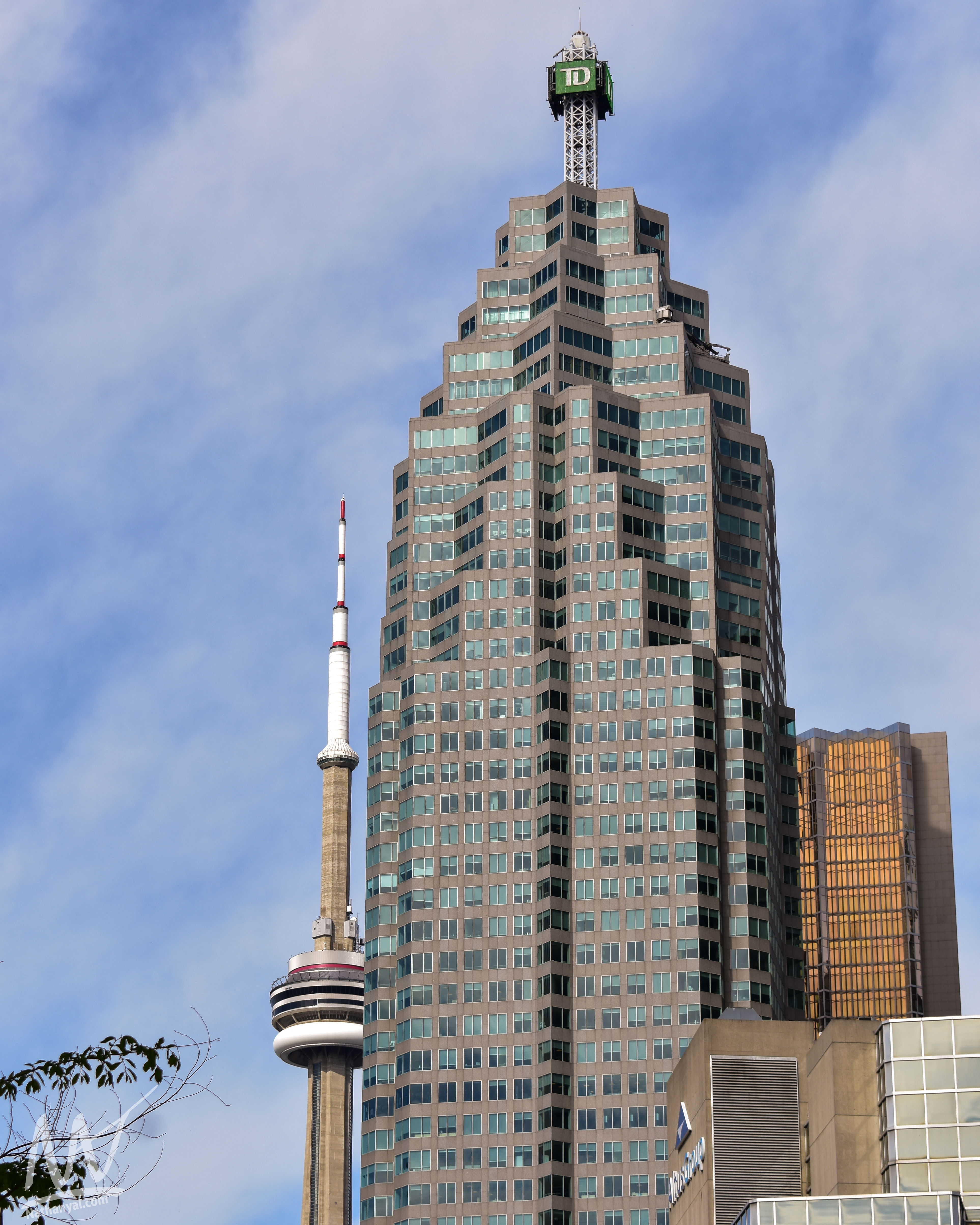 torontoredo (2 of 14).jpg