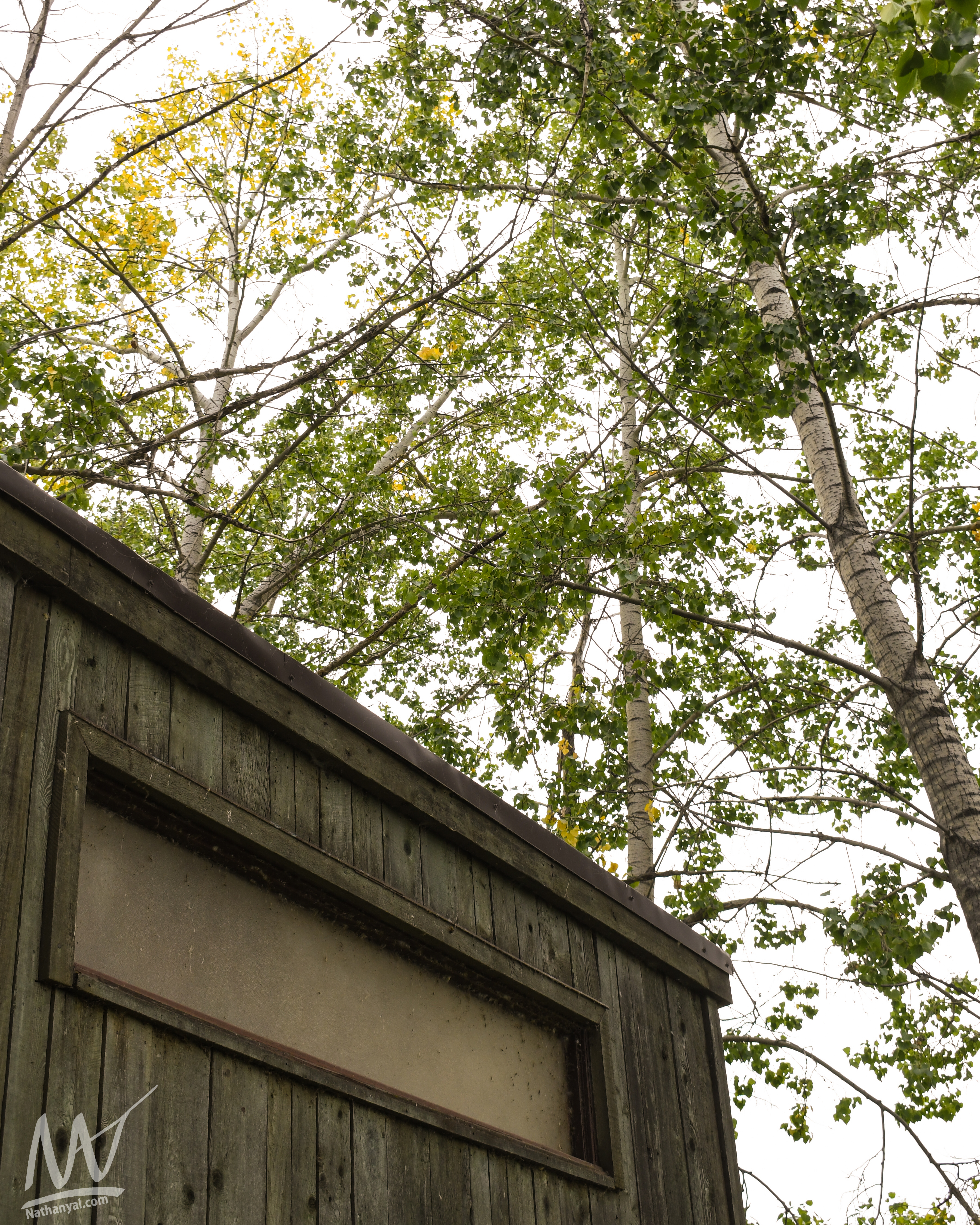 fishcreek (13 of 57).jpg