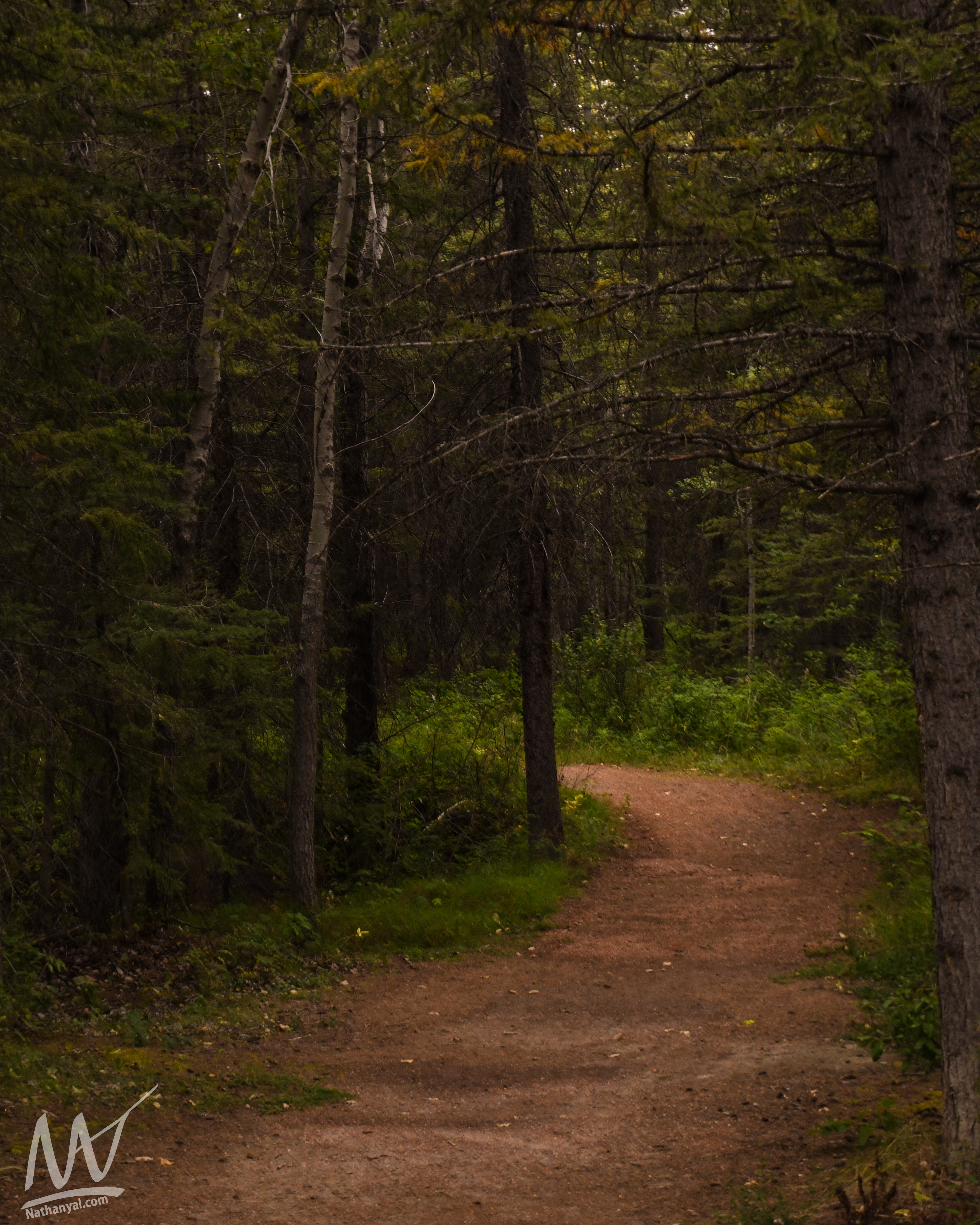 fishcreek (47 of 57).jpg