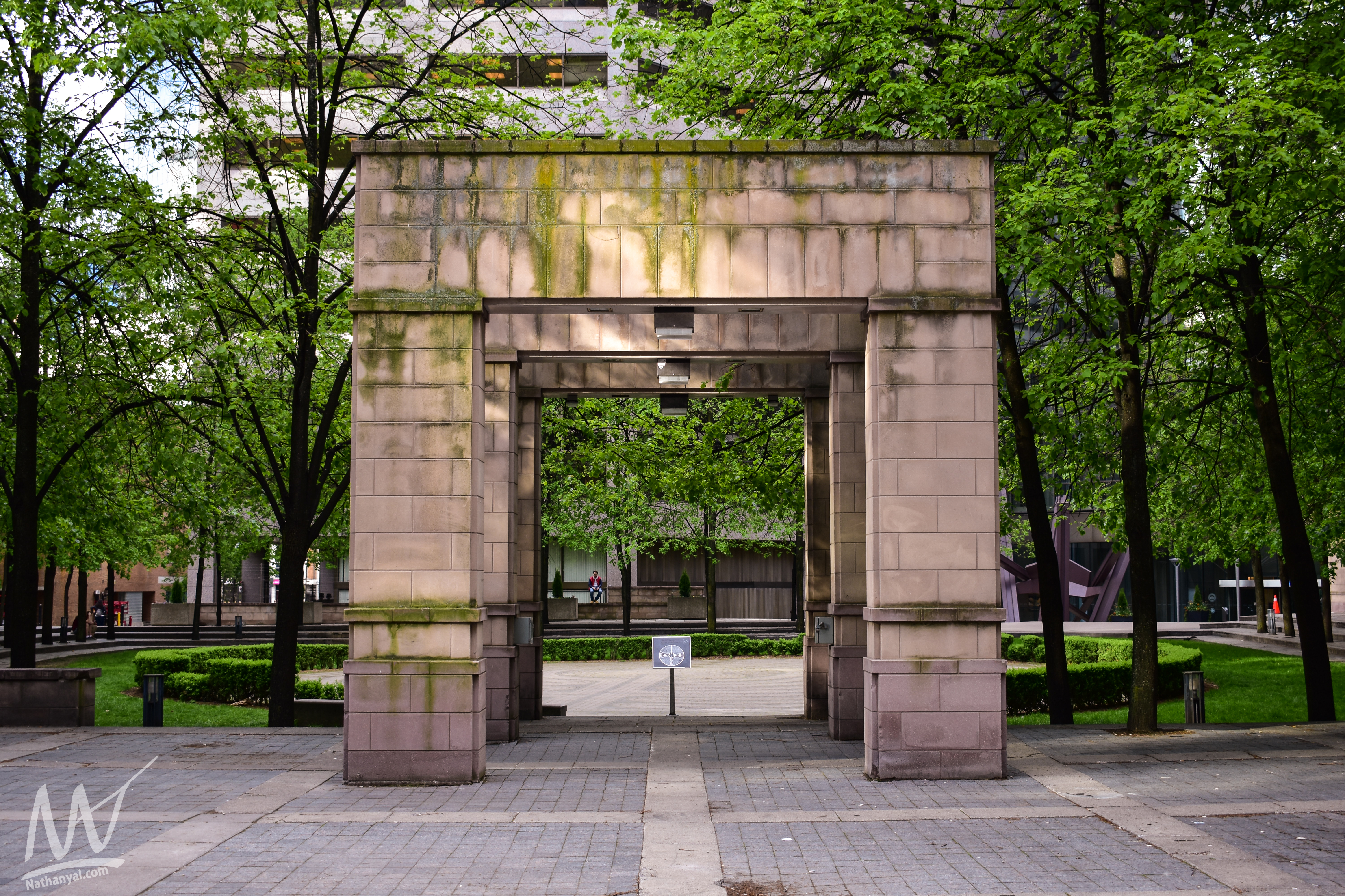 torontoredo (9 of 14).jpg