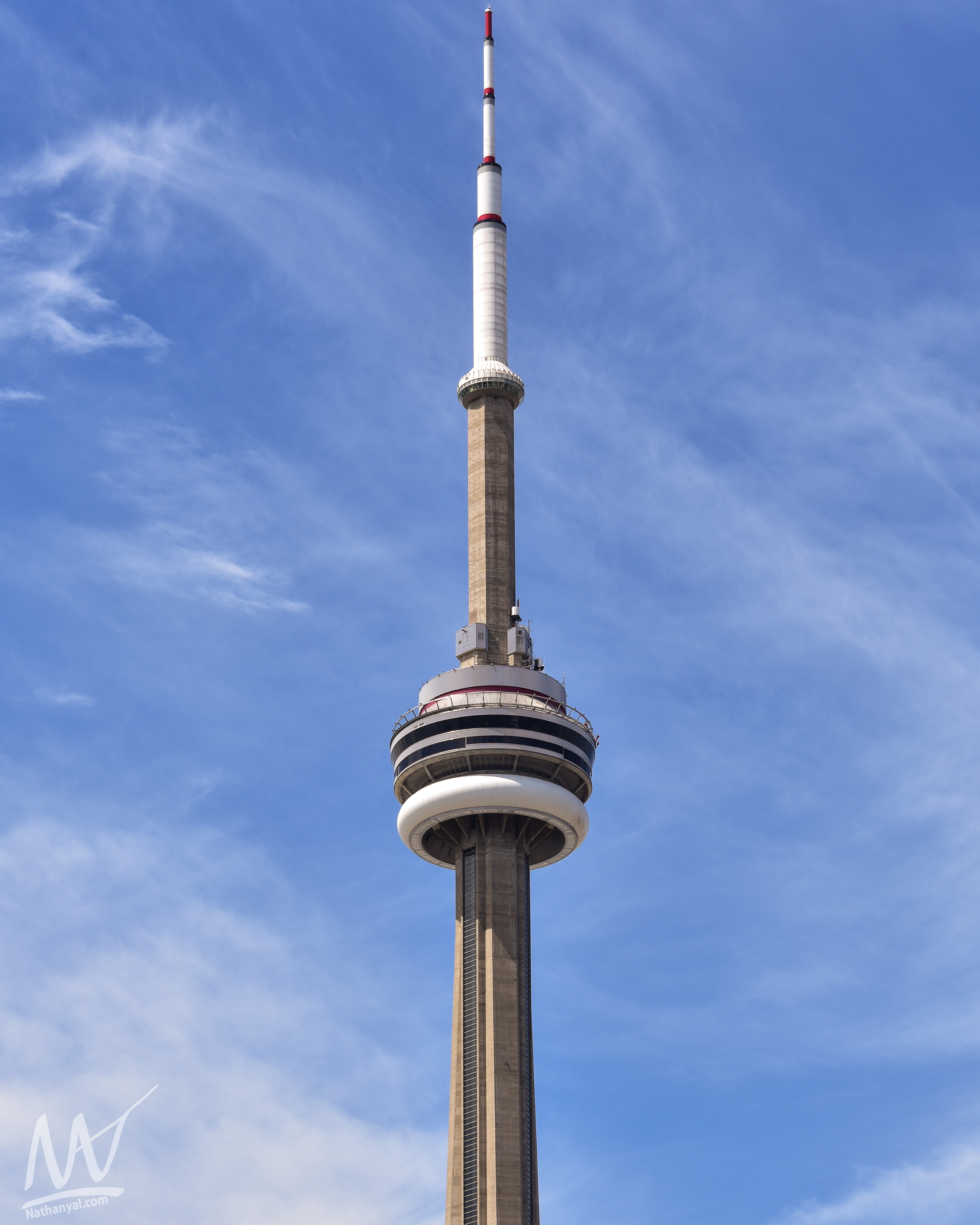 torontoredo (4 of 14).jpg