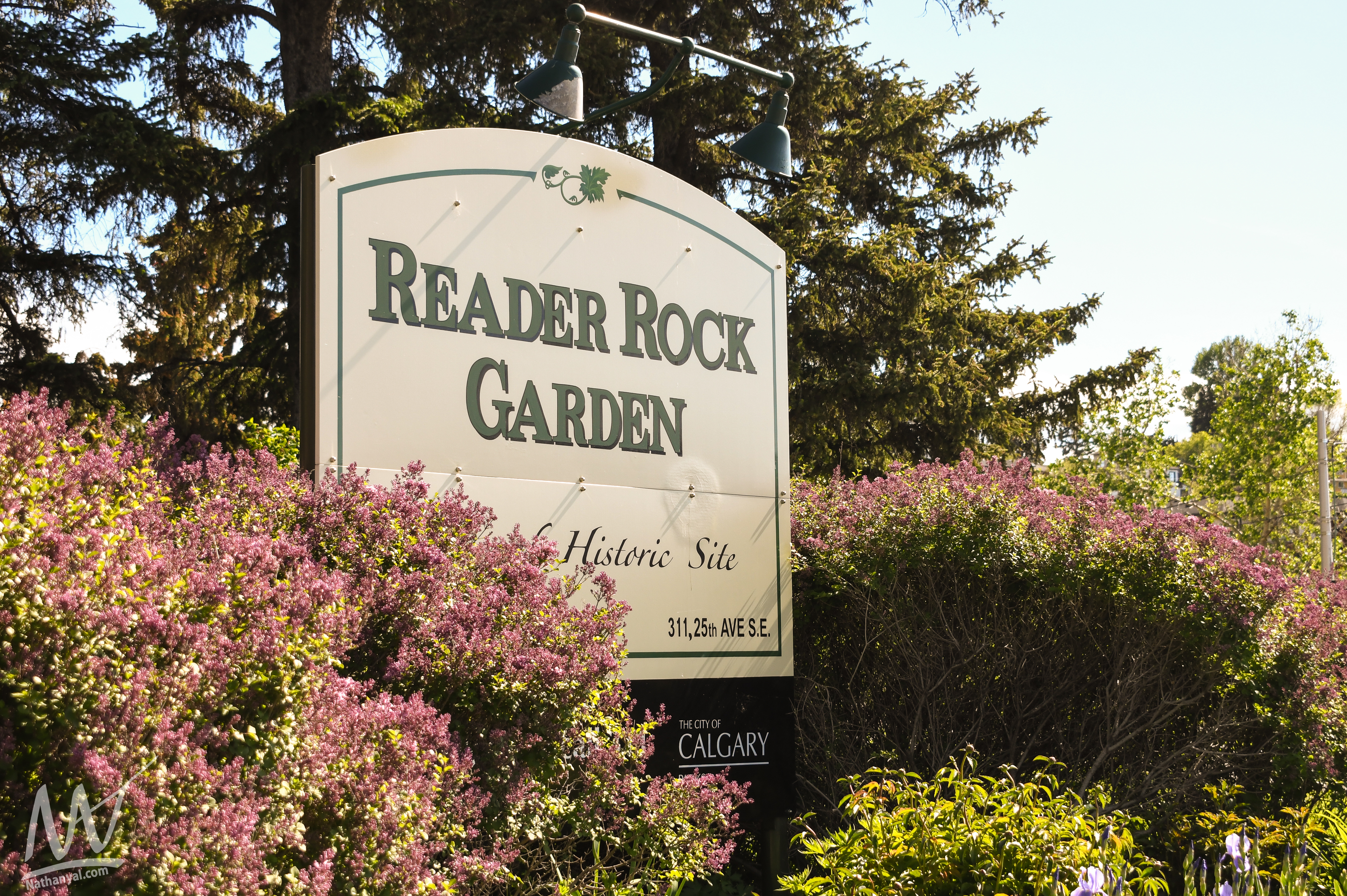 readerrockgarden (3 of 69).jpg