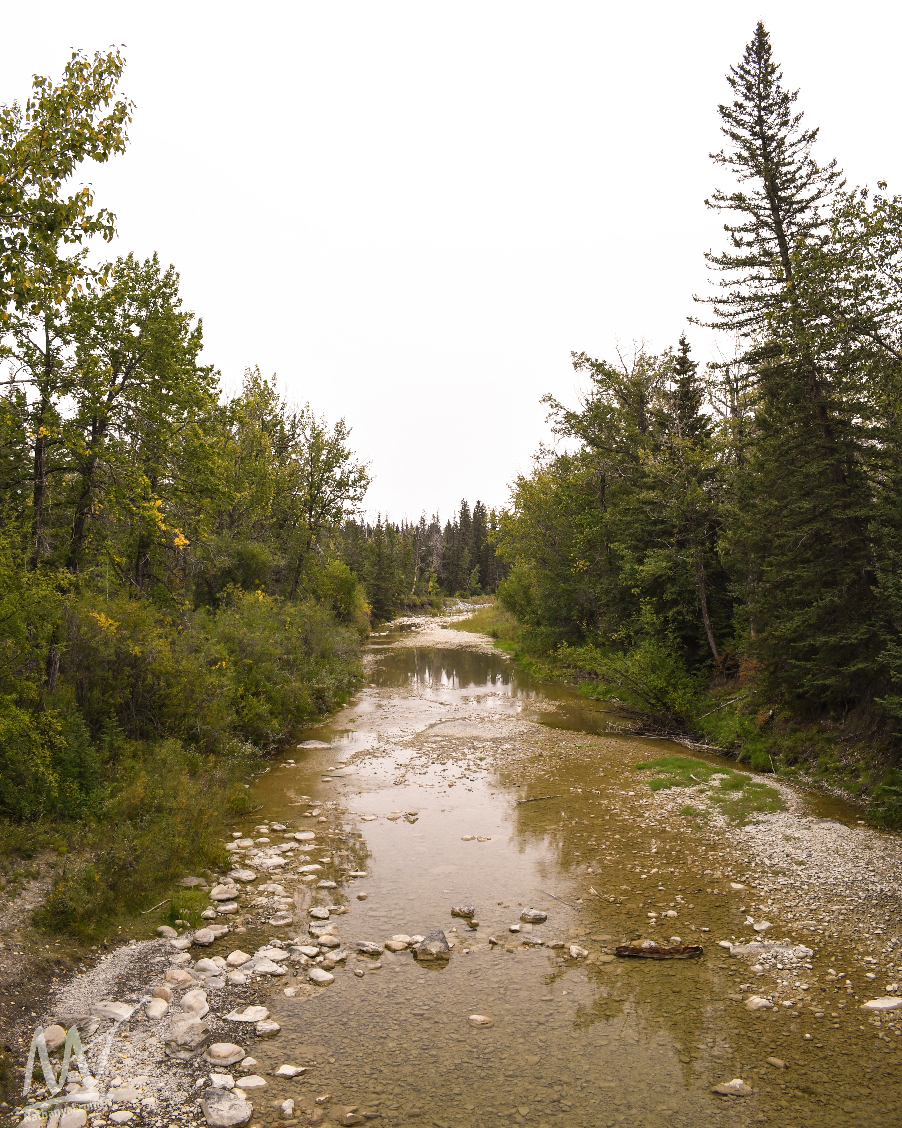 fishcreek (46 of 57).jpg