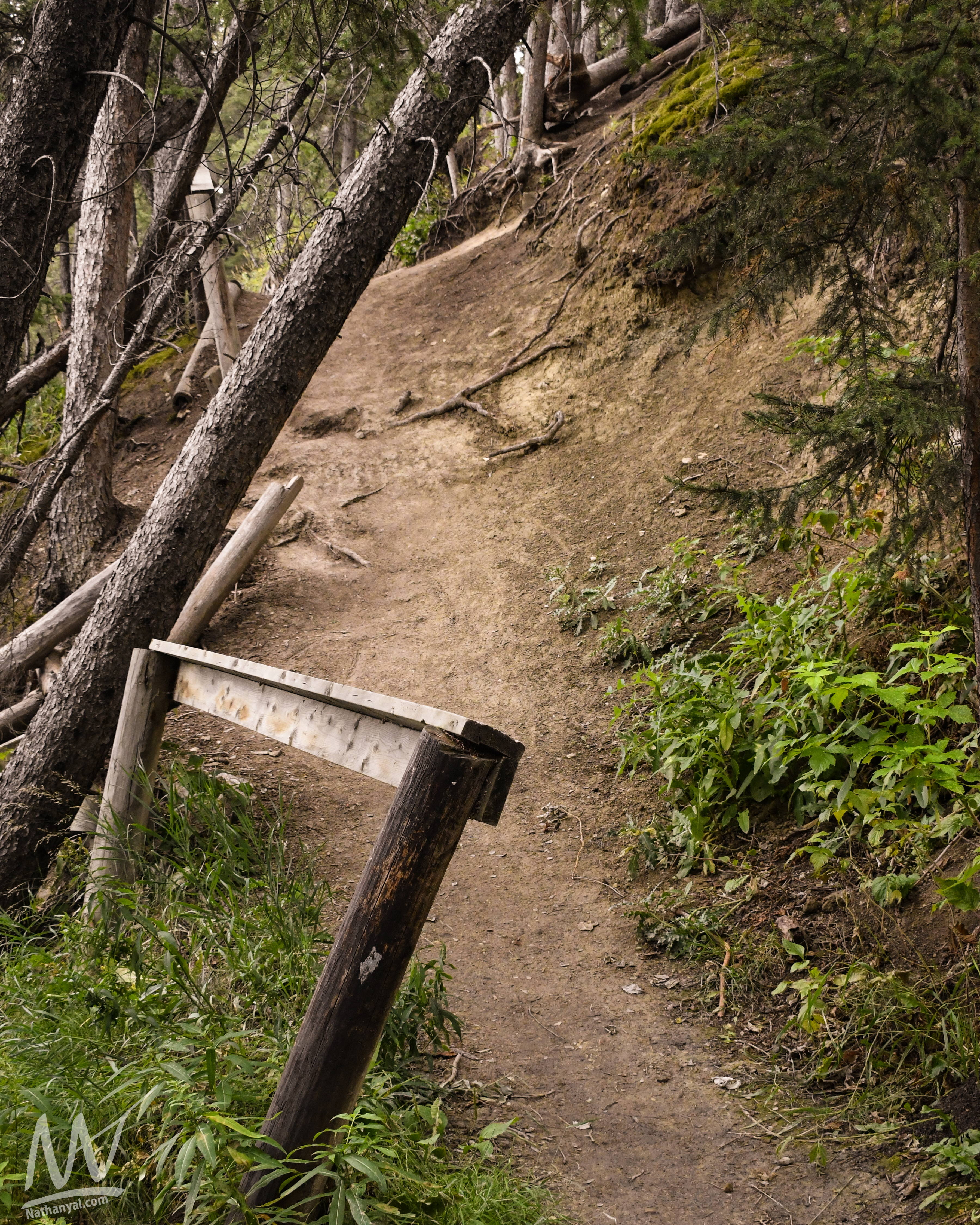 fishcreek (54 of 57).jpg