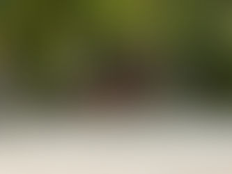 Une journée chez ML EVENTING