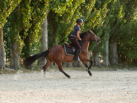 Une journée chez ML EVENTING