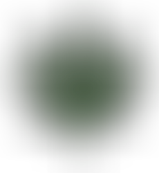 NEW JERSEY WANTS CANNABIS MONEY