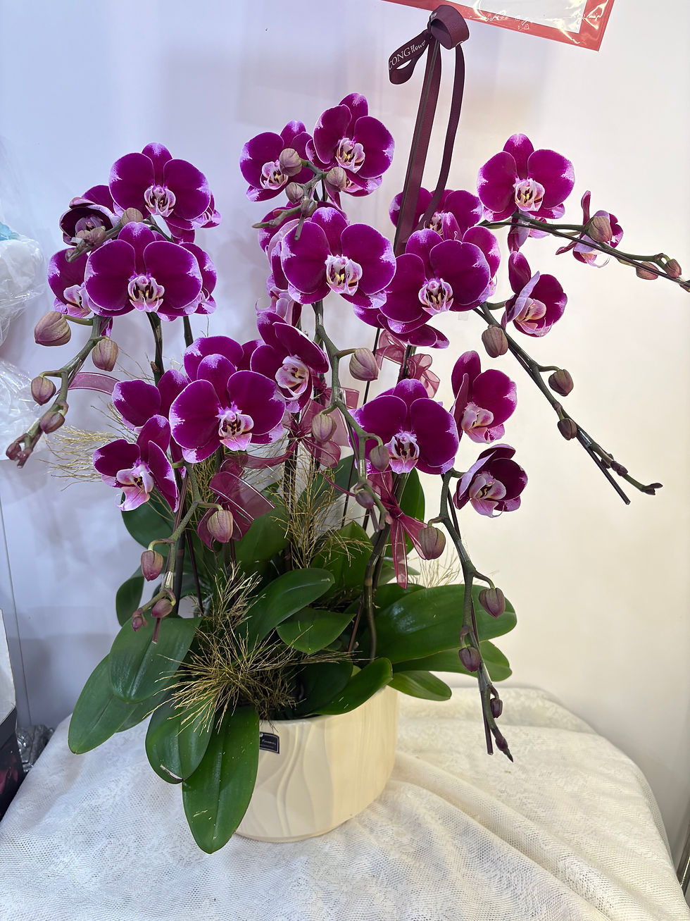 縮圖：8 stems butterfly orchid arrangement