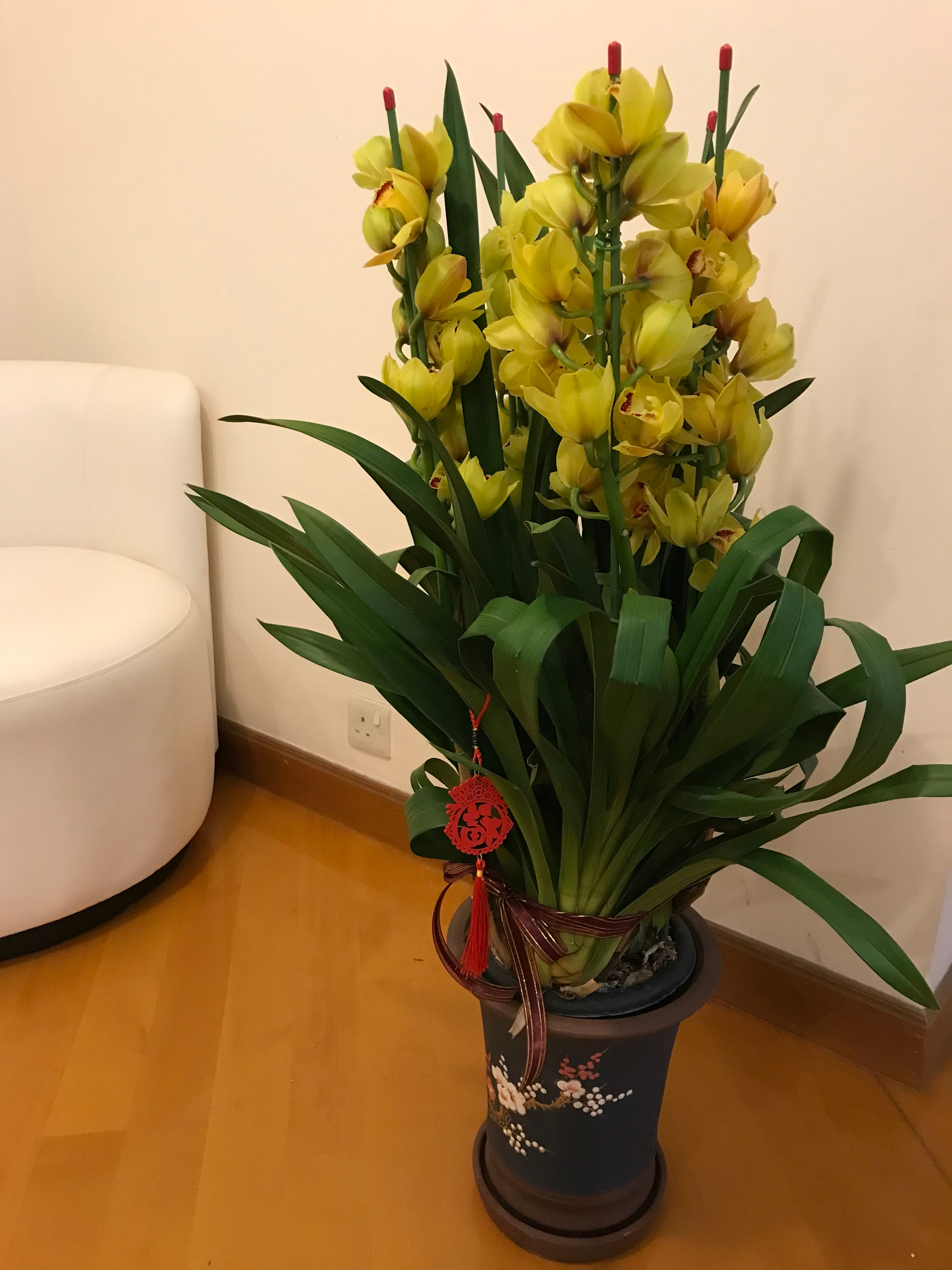 Oriental Cymbidium arrangement