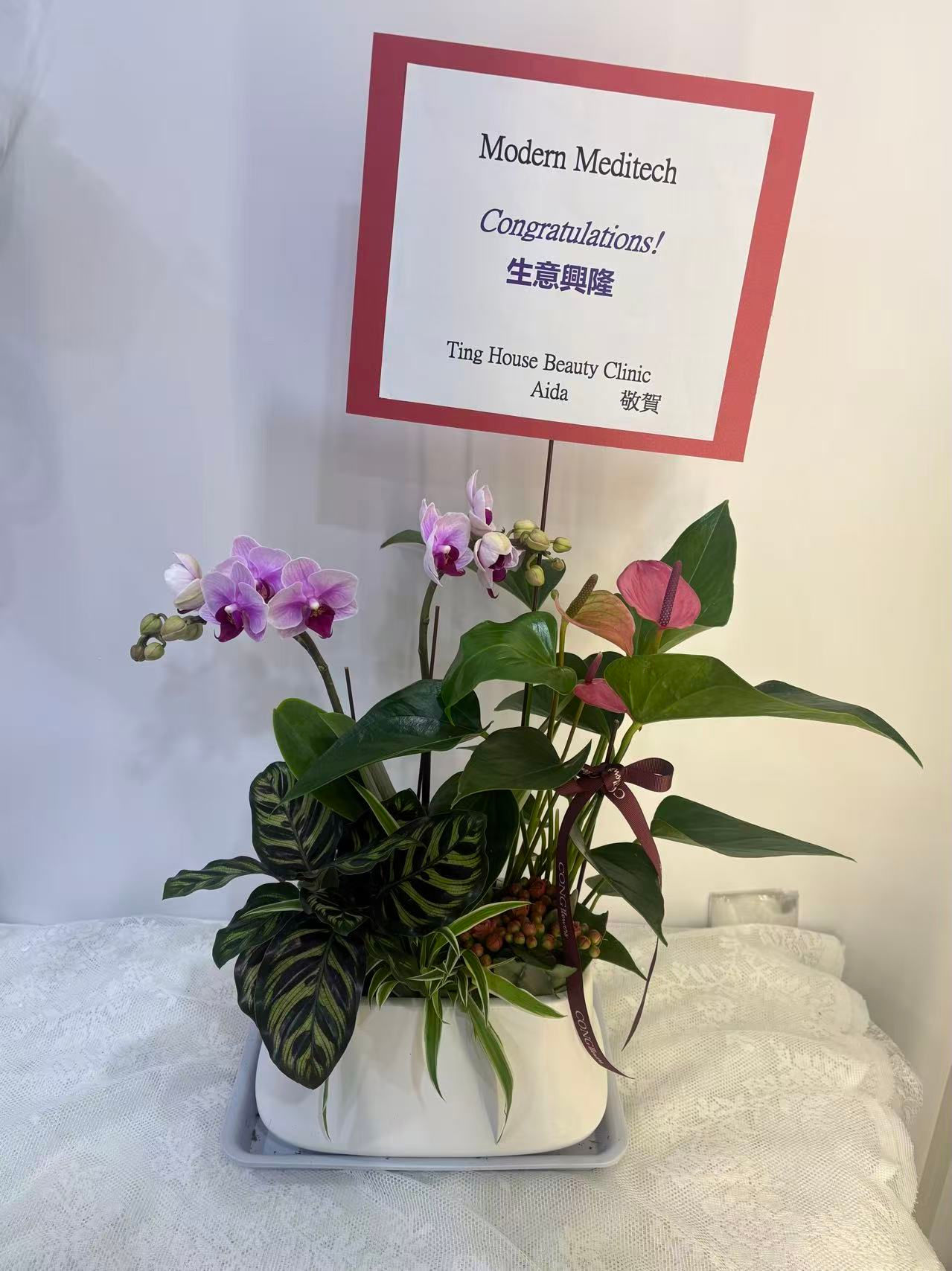 Orchid and plants combo