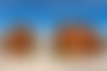 Architect's Off-Grid Stargazing Cabin in Joshua Tree