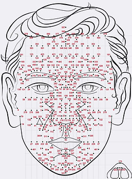 points visage 1.jpg