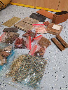 Projektový den 3. ZŠ Zlín (15).jpg