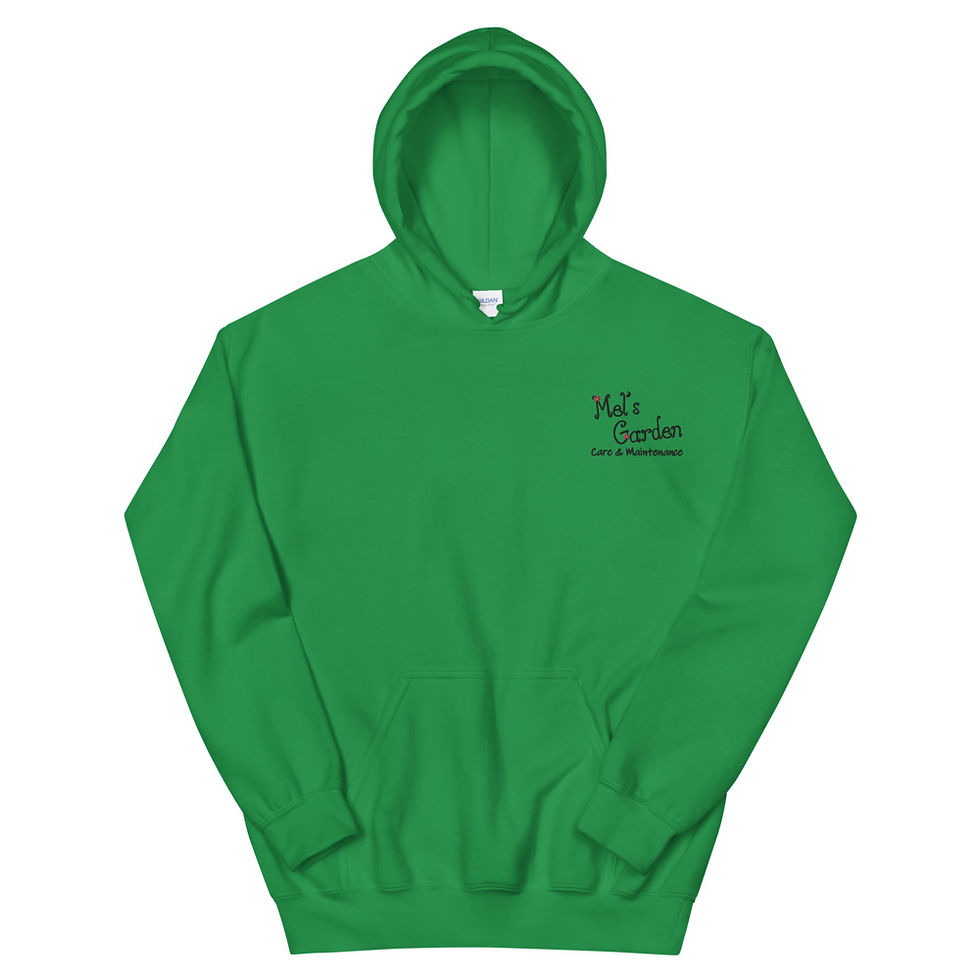 Thumbnail: BRIGHTS & LIGHTS Embroidered Unisex Hoodie