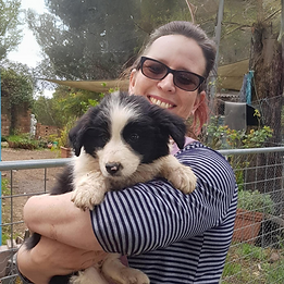 Untitled design (39).png