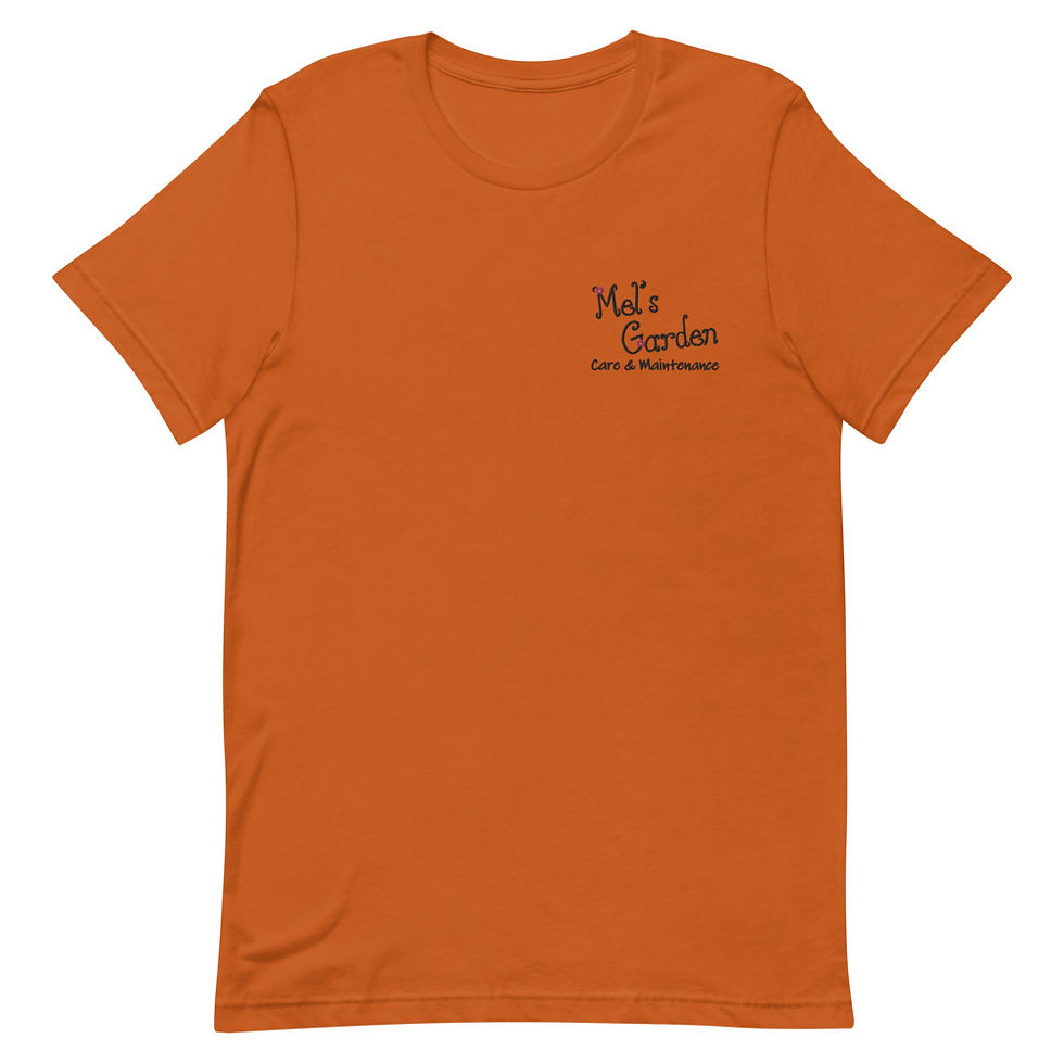 Thumbnail: BRIGHTS & LIGHT Embroidered Short-Sleeve Unisex T-Shirt