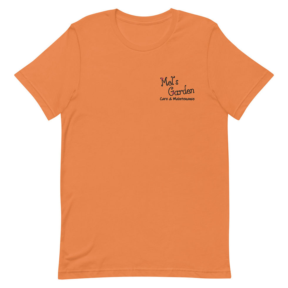 Thumbnail: BRIGHTS & LIGHT Embroidered Short-Sleeve Unisex T-Shirt