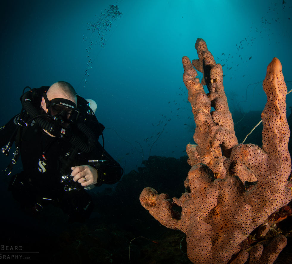 M&M JJCCR MOD1 UW-7133.jpg