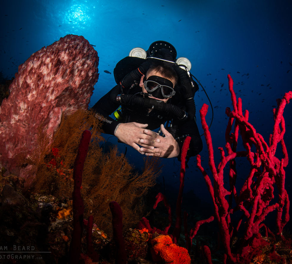 M&M JJCCR MOD1 UW Paul -4427.jpg