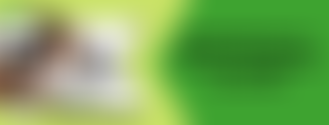 Applicable fixes To Counter QuickBooks Error 6143