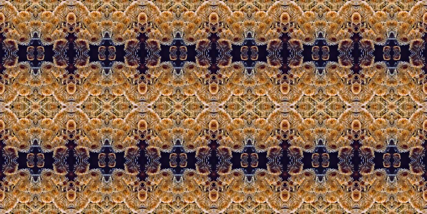 Martino Motti - Cattedrale