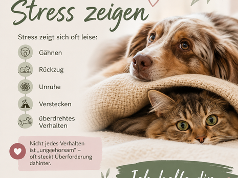 Wie Tiere Stress zeigen ❤️