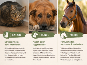 Hilfe bei Verhaltensproblemen von Katze, Hund und Pferd