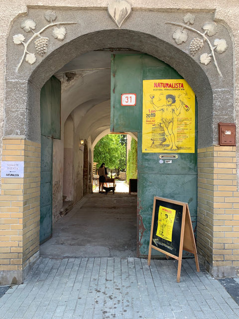 Naturalista 2019