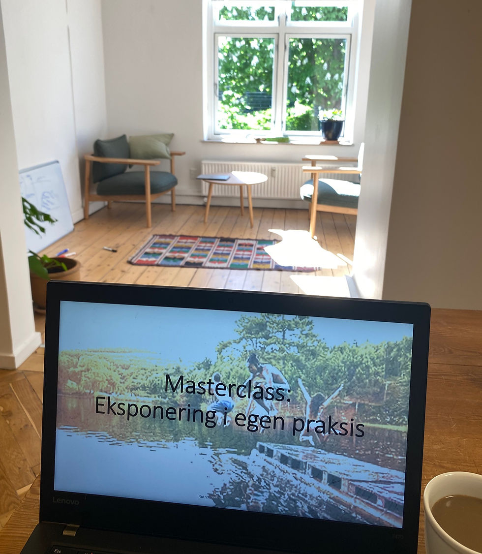 Når manualen ikke rækker