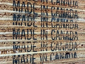 Trade War Hits the Woods: Canada Fires Back on US Forest Products