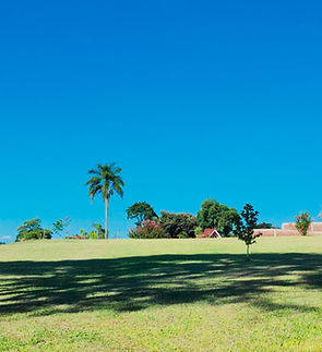 Frames LN_ Michele (6).jpg