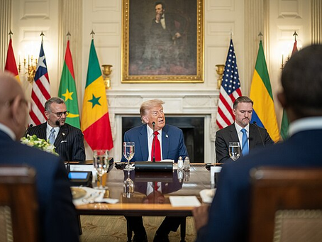 Many have welcomed a U.S.-Africa partnership; however, scepticism remains as this could negatively affect countries that are more aligned with China, Russia, or BRICS. Countries with far less bargaining power and smaller economies could be left without a share of the “investment cake”, resulting in fragmentation in U.S.-Africa trade relations. Any deal with the U.S. is likely to result in partnerships and investments within the private sector, infrastructural development, and security cooperation.