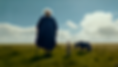 ai trailer shaper